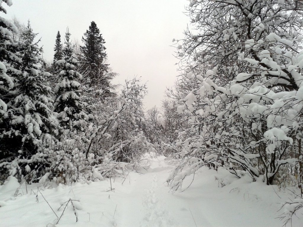 Зимнее спокойствие.
