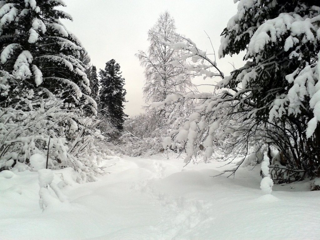 Пора доставать лыжи.