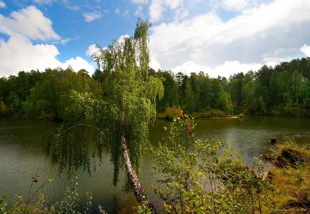Река Раздельная. Бердск. август 2015