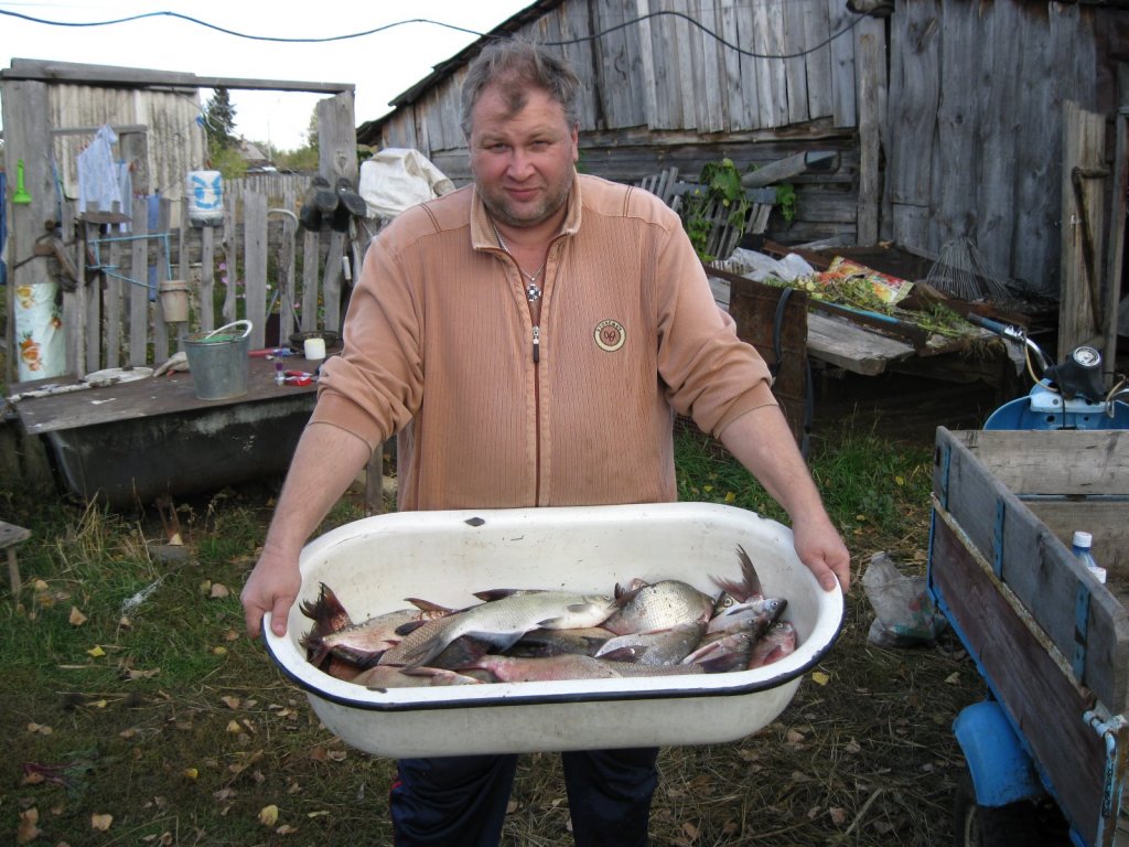 Каргаполово