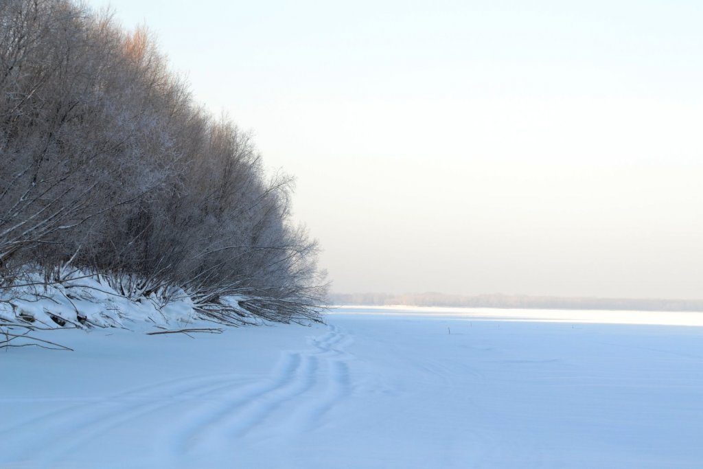 Каргаполово