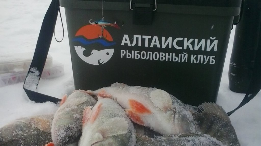 Окунь запеченный в соли.