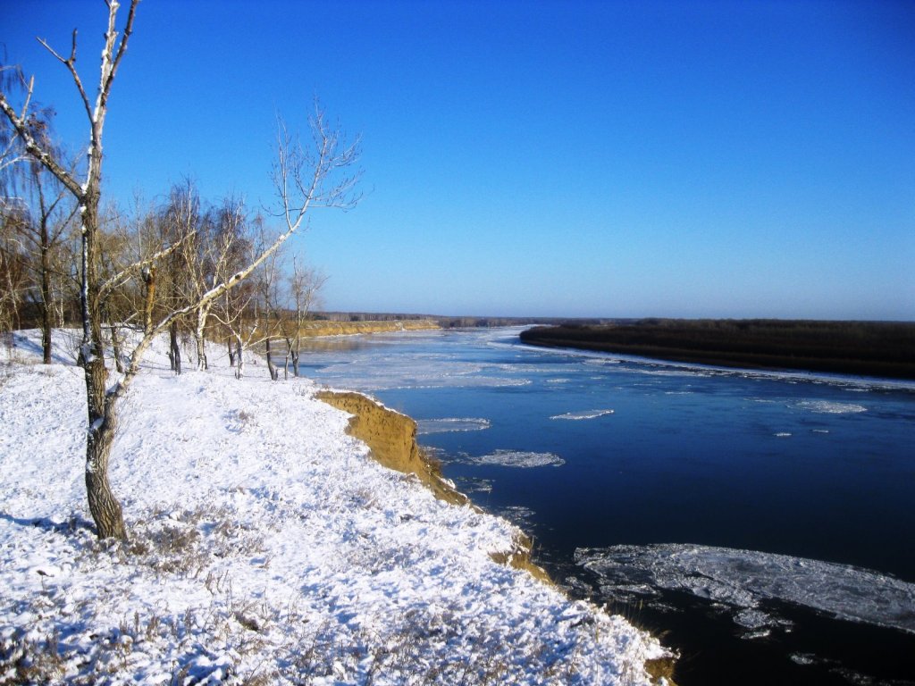 Каргаполово
