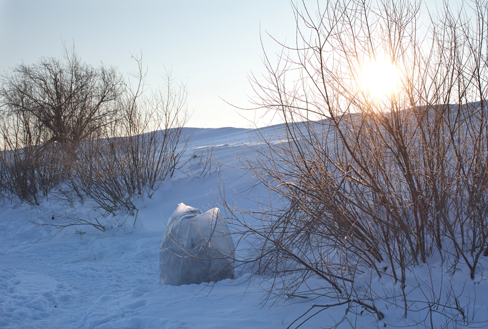- 33 град. Звезда рыбака.