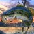 fisherman704