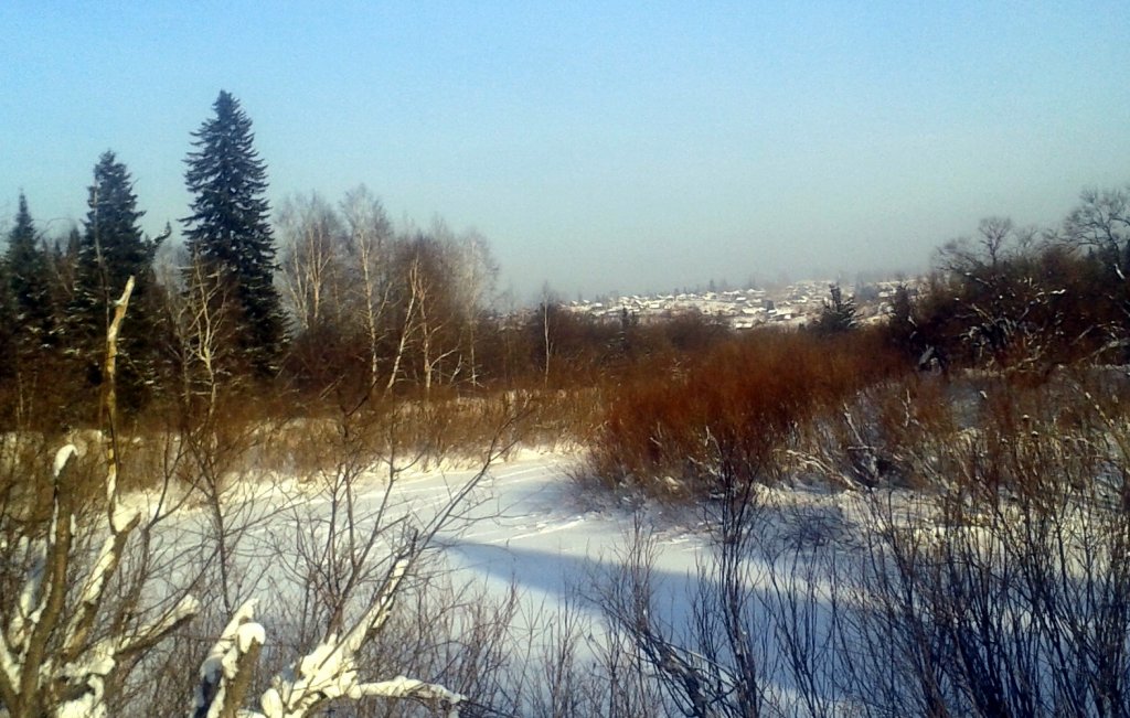 Таёжный посёлок Барзас.