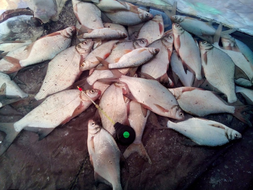 Фанерки