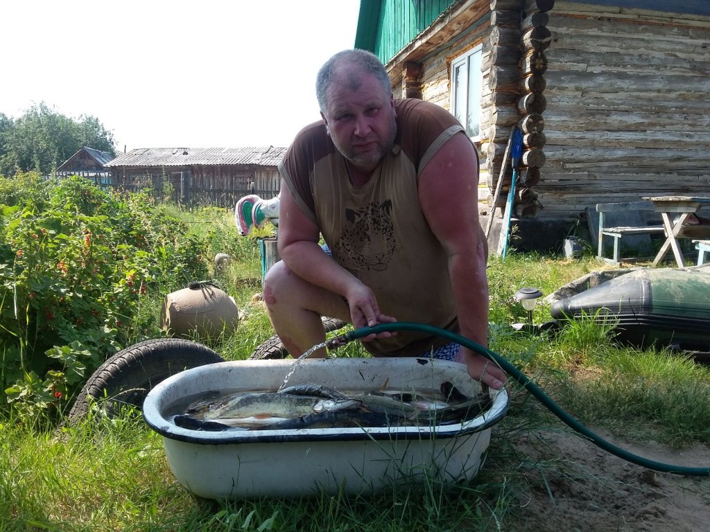 Каргаполово