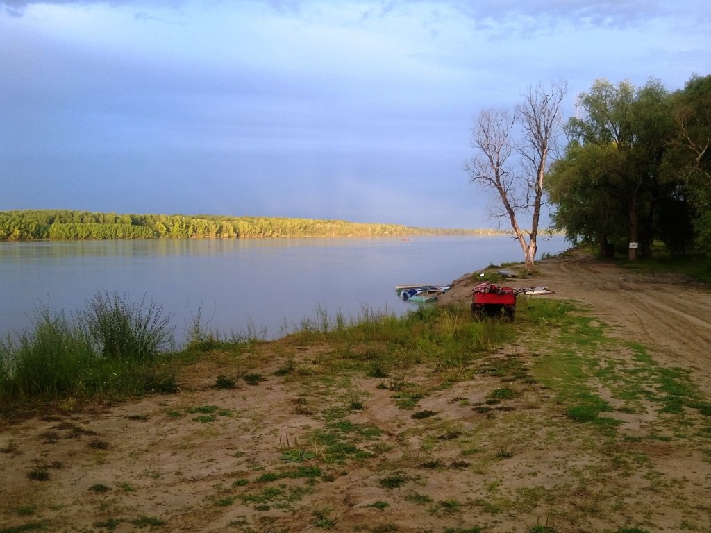 Каргаполово