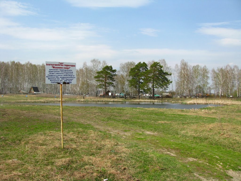 В пос.пашино.