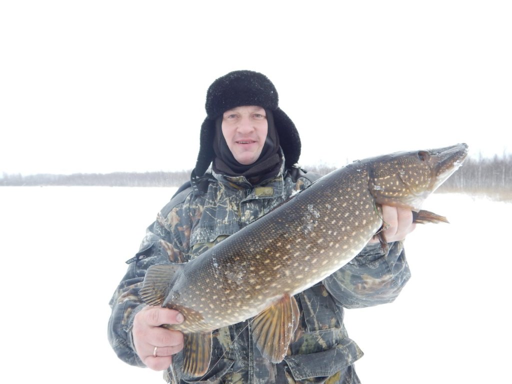 пятнистая красотка