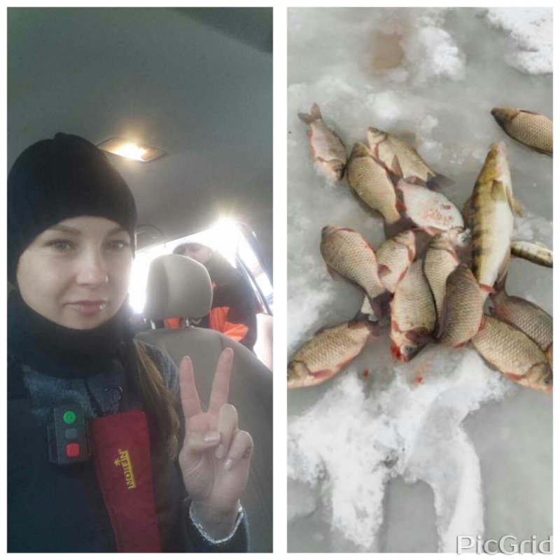 асорти