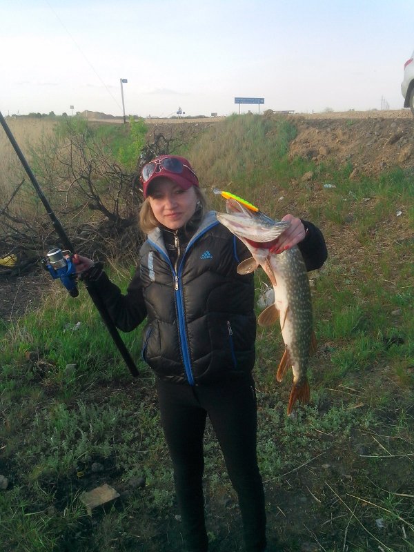 Fishycat minnow suspending