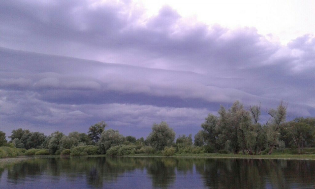 Тишина