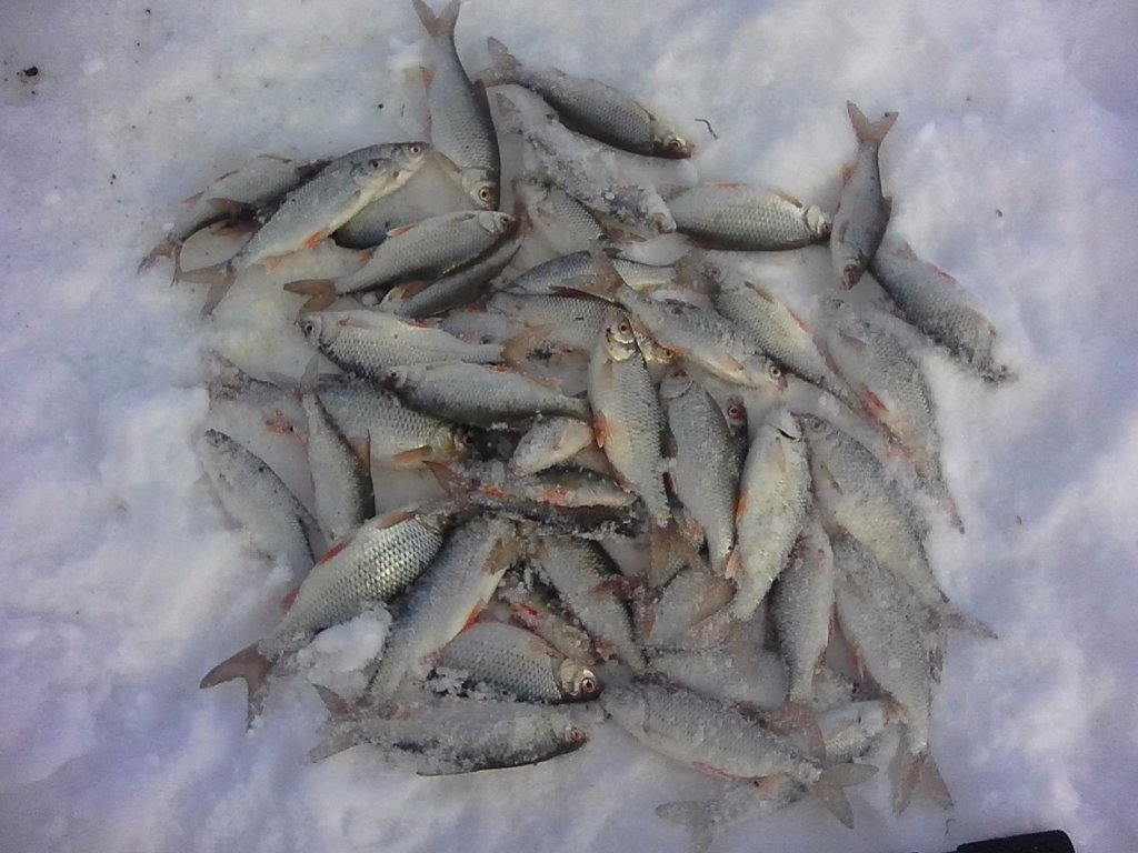 Классика жанра)