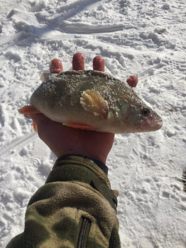 На рыбалке