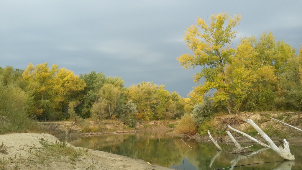 осень
