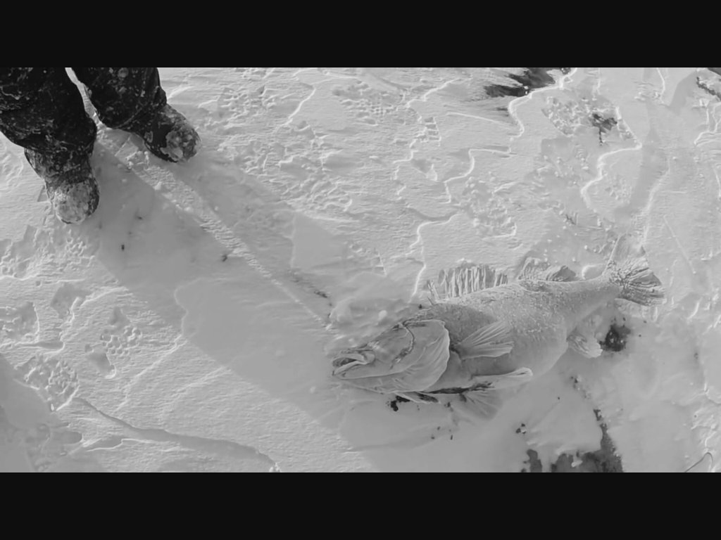 Трофей