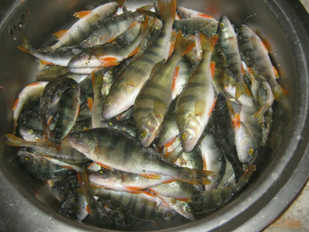 Глухозимье