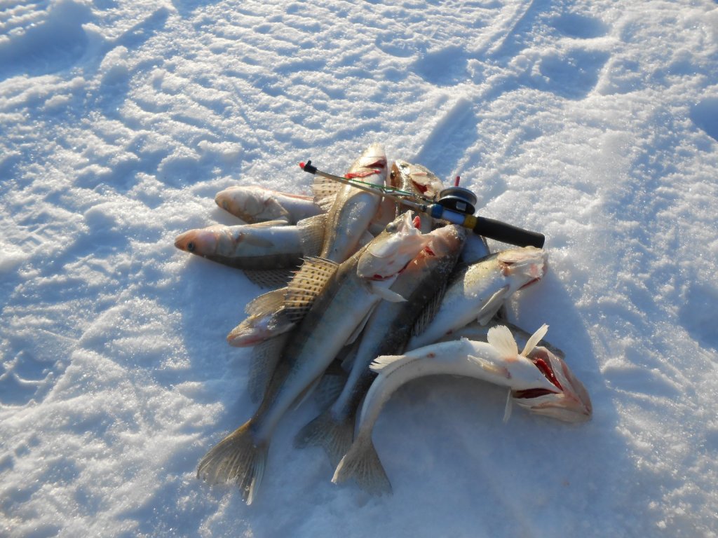 31км - Морской.