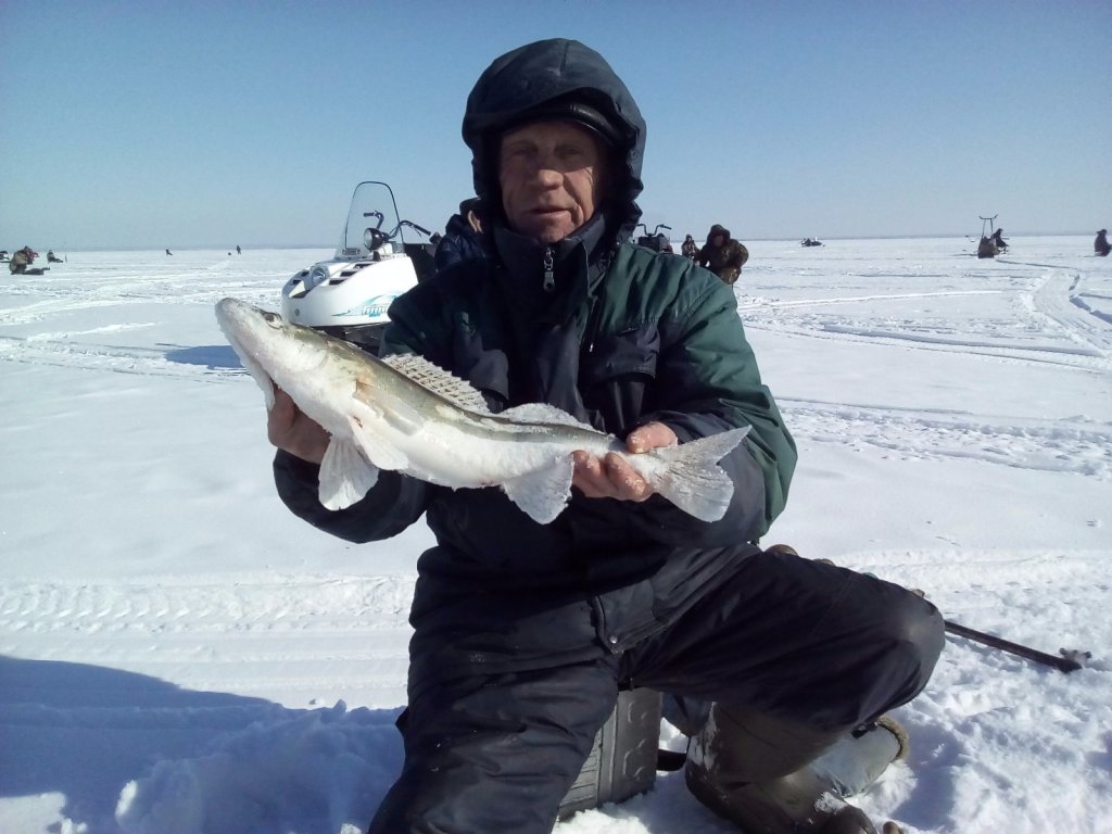 Закилошник!