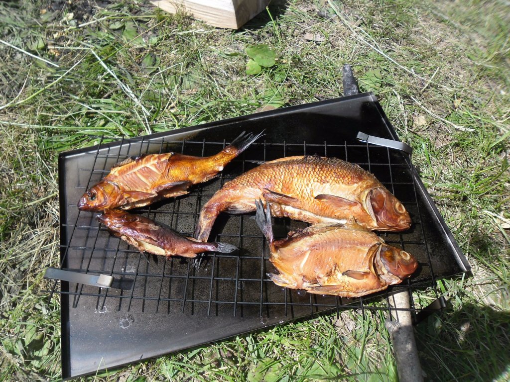Рыба