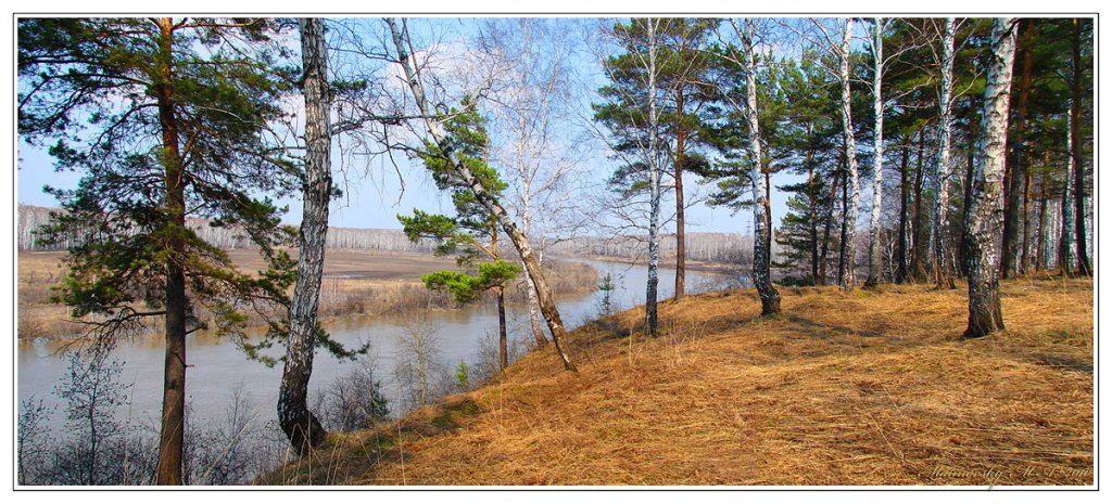Вид на реку Иня. Май 2010.  Из серии "Мои Фото-трофеи разных лет".
