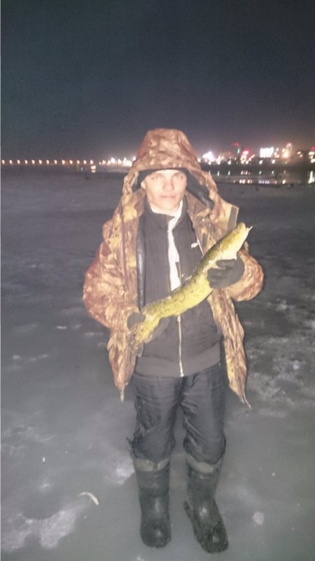 Ночной налимчик на балансир