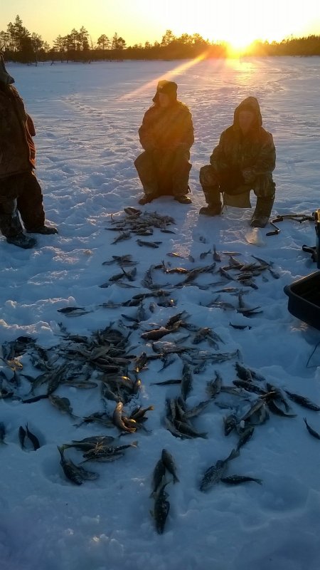Половили немного Окунька