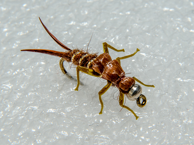Stonefly VM
