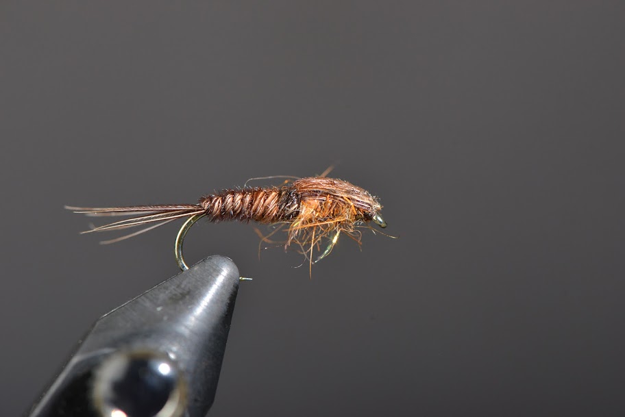 Pheasant Tail
