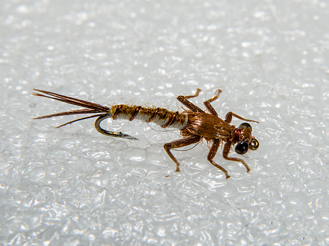 March Brown Nymph Realistic