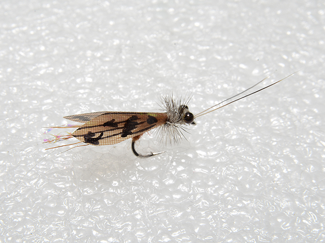 Dry Fly Caddis VM