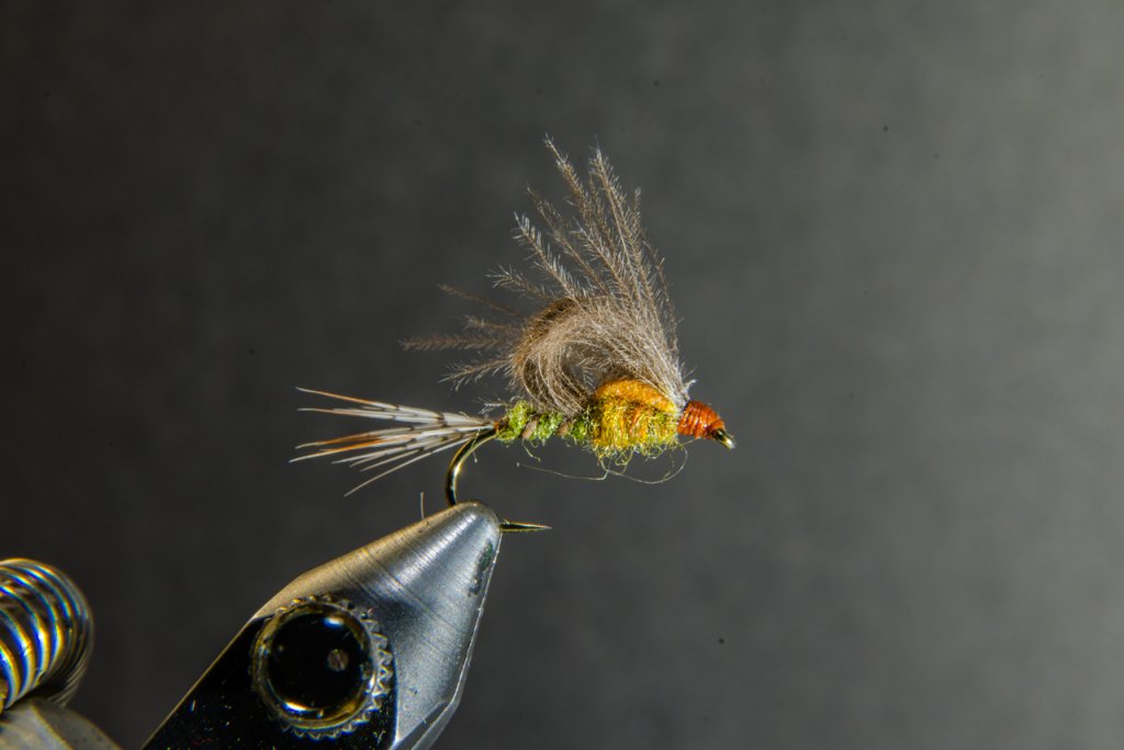 CDC Olive Emerger