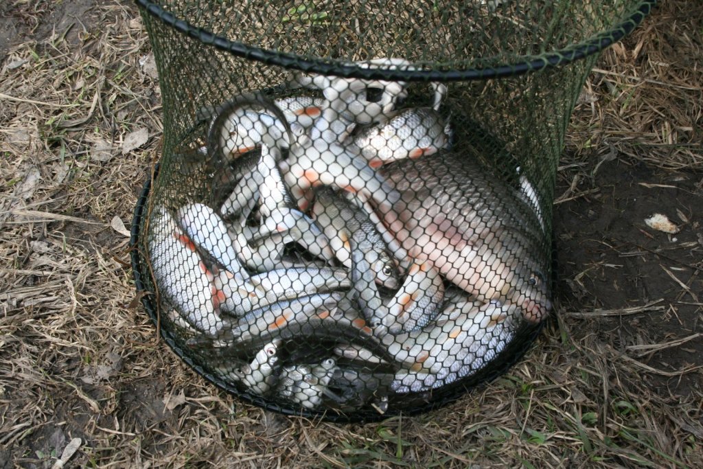 Улов.