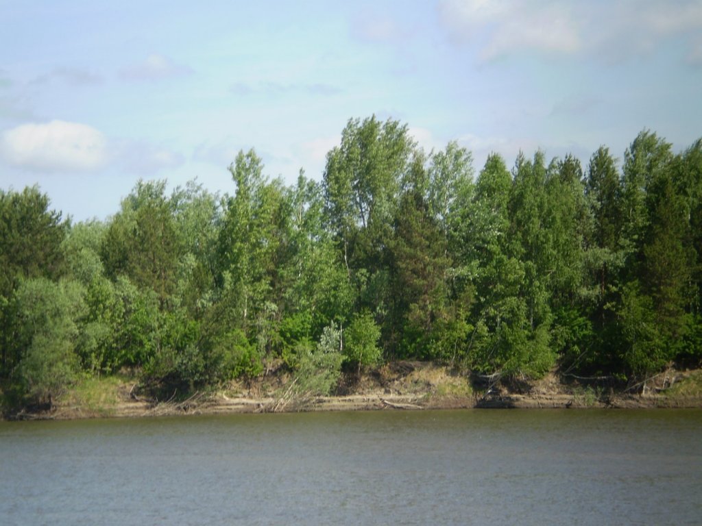 Дубровино.