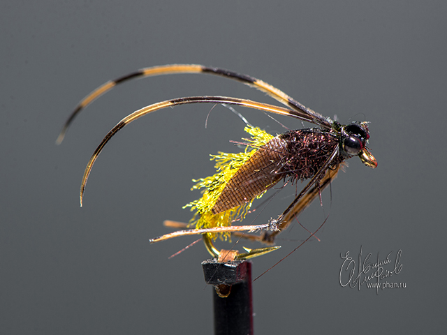Organza Caddis Pupa