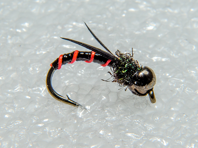 Stonefly Nymph VM