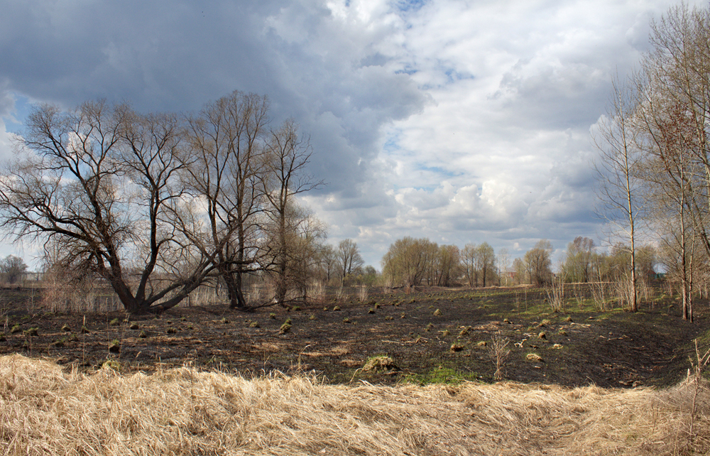 Траву пожгли (окрестности Угрюм-реки).