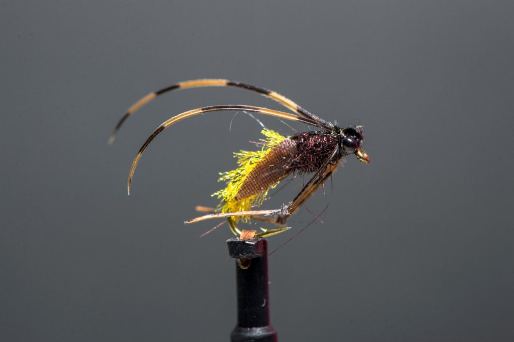 Caddis Pupa
