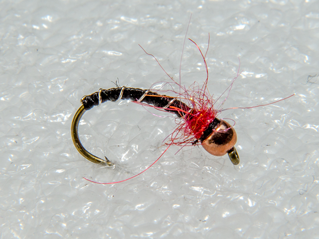 Gold Head Black Nymph