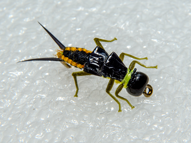 Stonefly Nymph