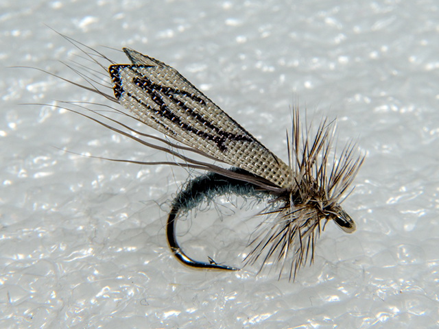 Caddis Gray VM