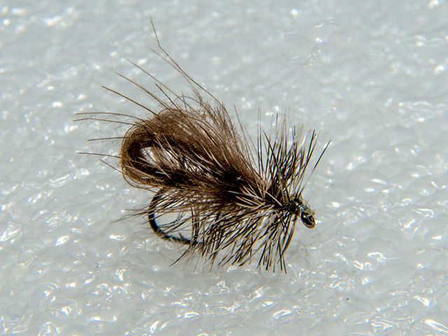 Bubble Caddis