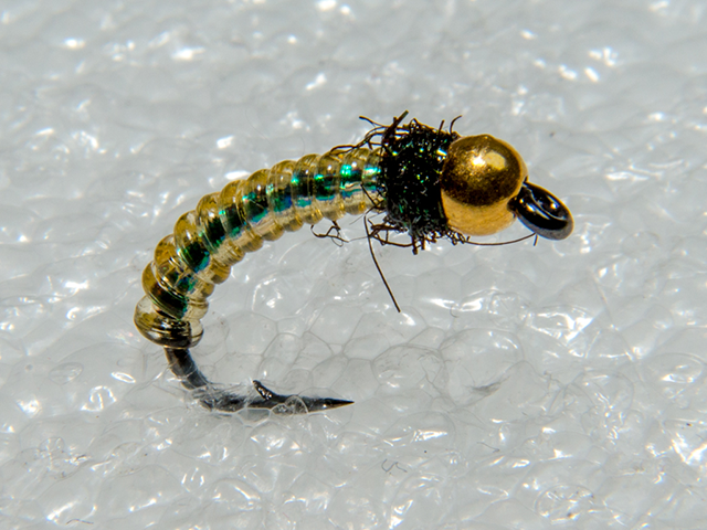 Gold Head Gamma
