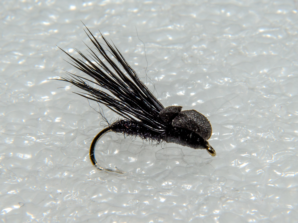 Bolloon Caddis
