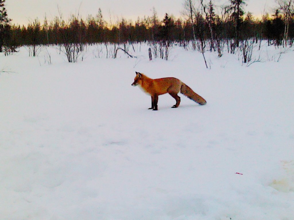 Провела фотосессию.