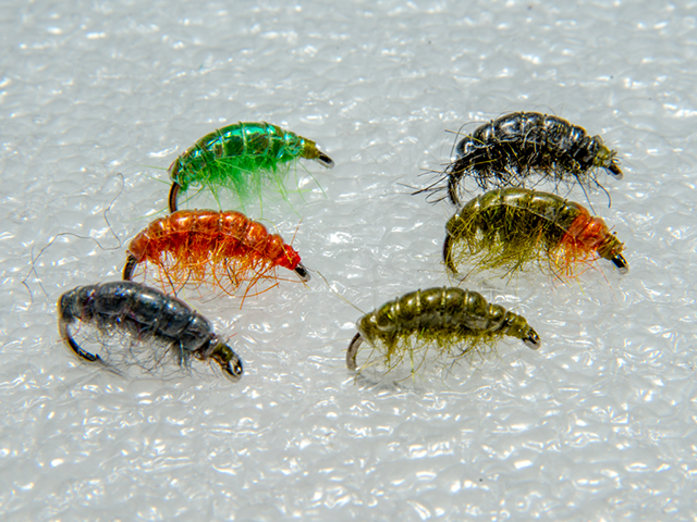 Набор " Gammarus"
