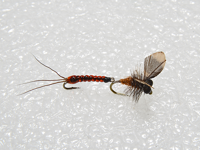 Emerger