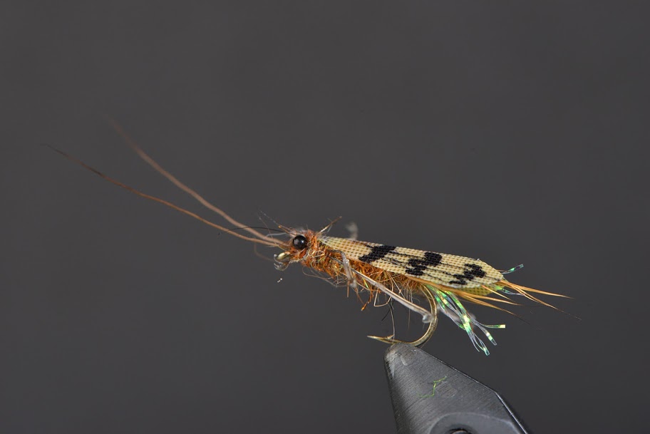 Dry Fly caddis Realistic